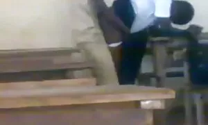 bafsa ba ma-afrika k ...